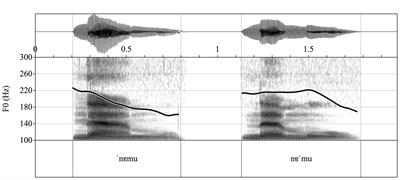European Portuguese-Learning Infants Look Longer at Iambic Stress: New Data on Language Specificity in Early Stress Perception